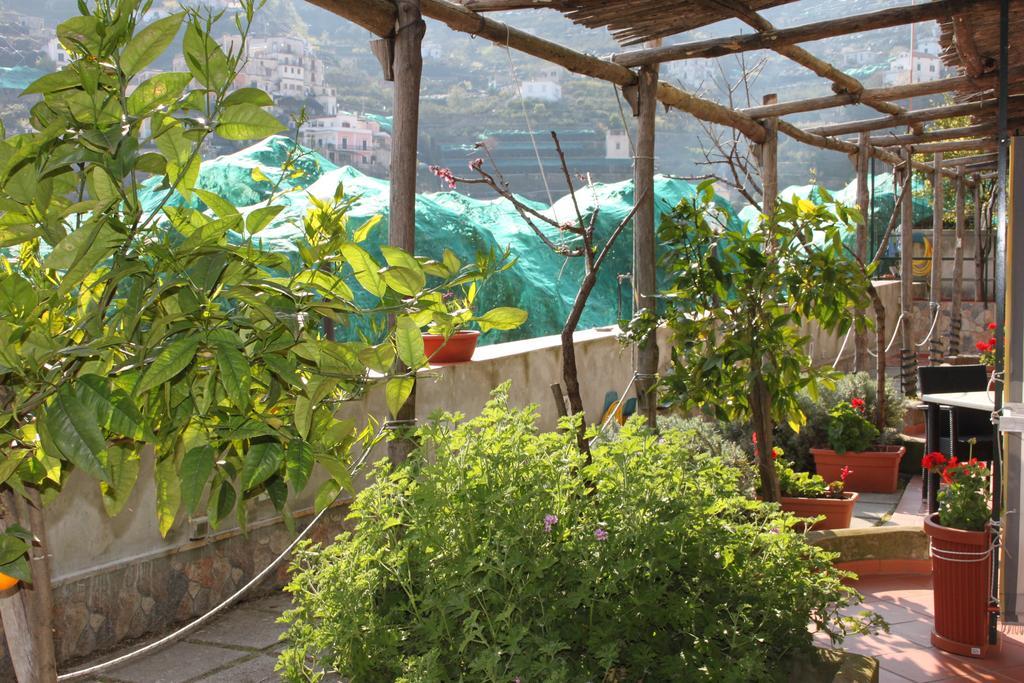 Eden Holiday Minori Εξωτερικό φωτογραφία