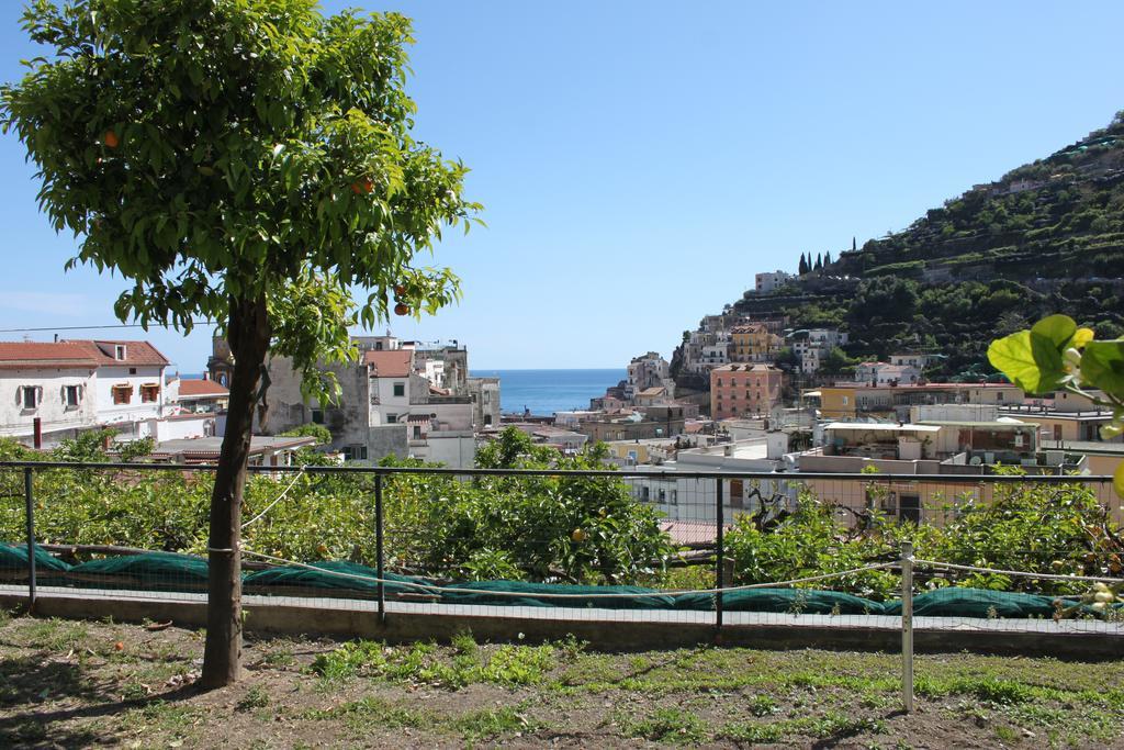 Eden Holiday Minori Εξωτερικό φωτογραφία